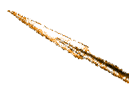 Imagen GIF de Lanza glitter animado