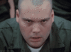 GIF animado (67605) Leonard gomer pyle lawrence