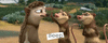 GIF animado (67865) Louis crash eddie