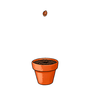 GIF animado (63648) Maceta planta