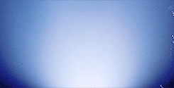 GIF animado (68047) Marca zorro