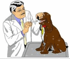 GIF animado (72731) Medico veterinario perro