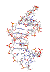 GIF animado (62152) Molecula
