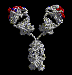 GIF animado (62155) Molecula quimica