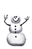 GIF animado (60304) Muneco nieve asustado