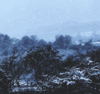 GIF animado (66281) Nevada invernal