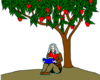 GIF animado (73289) Newton bajo manzano