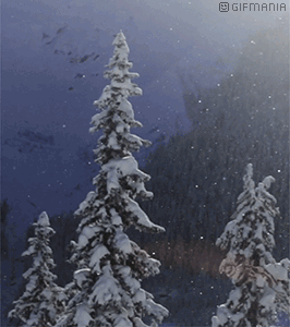 GIF animado (66224) Nieve arboles
