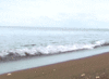 GIF animado (66384) Olas playa
