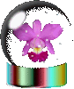 GIF animado (73068) Orquidea bola nieve