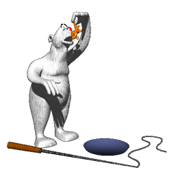 GIF animado (72391) Oso polar pescador