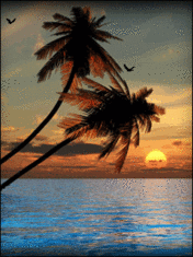 GIF animado (73298) Paisaje con palmeras