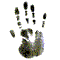 GIF animado (71220) Palma de la mano