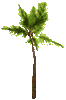 GIF animado (72806) Palmera