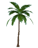 GIF animado (73307) Palmera girando