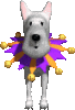 GIF animado (64387) Perro payaso