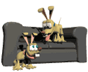 GIF animado (63797) Perros sofa
