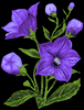 GIF animado (73081) Petunias goteando