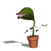 GIF animado (73084) Planta carnivora caminando