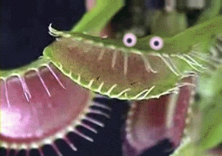 GIF animado (73088) Planta carnivora con ojos