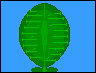GIF animado (73092) Planta carnivora en internet