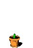 GIF animado (63652) Planta creciendo maceta
