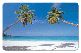 GIF animado (73314) Playa con palmeras