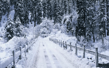 GIF animado (66284) Puente invierno