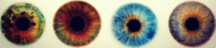 GIF animado (71359) Pupilas