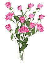 GIF animado (73151) Ramo rosas color rosa
