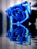 GIF animado (73111) Reflejo rosa azul