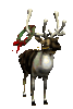 GIF animado (61303) Reno santa claus