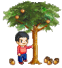 GIF animado (72915) Roble bellotas