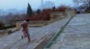 GIF animado (67721) Rocky escalones