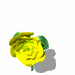 GIF animado (73108) Rosa amarilla saludando