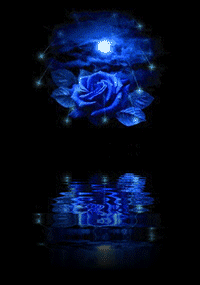 GIF animado (73115) Rosa azul nocturna