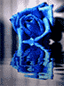 GIF animado (73117) Rosa azul reflejada