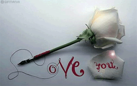 GIF animado (73128) Rosa blanca amor