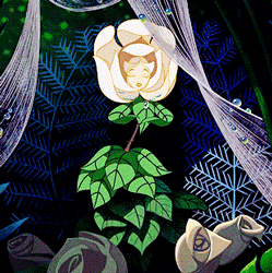 GIF animado (73131) Rosa blanca disney
