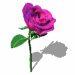 GIF animado (73157) Rosa marchita