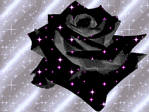 GIF animado (73165) Rosa negra brillando