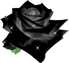 GIF animado (73166) Rosa negra brillos