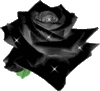GIF animado (73166) Rosa negra brillos