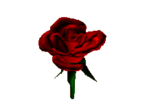 GIF animado (73191) Rosa roja d