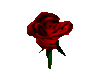 GIF animado (73191) Rosa roja d