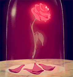 GIF animado (73201) Rosa roja magica