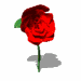 GIF animado (73204) Rosa roja negativa
