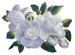 GIF animado (73143) Rosas blancas