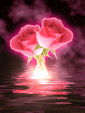 GIF animado (73160) Rosas color rosa