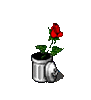 GIF animado (73209) Rosas rojas basura